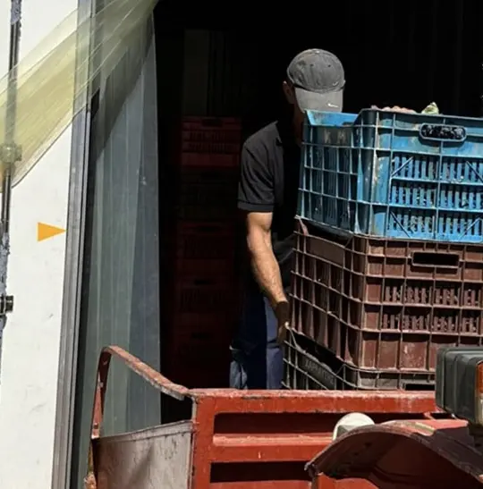 ArcticStore Cold Storage Greece Wineries – Refrigerated Containers